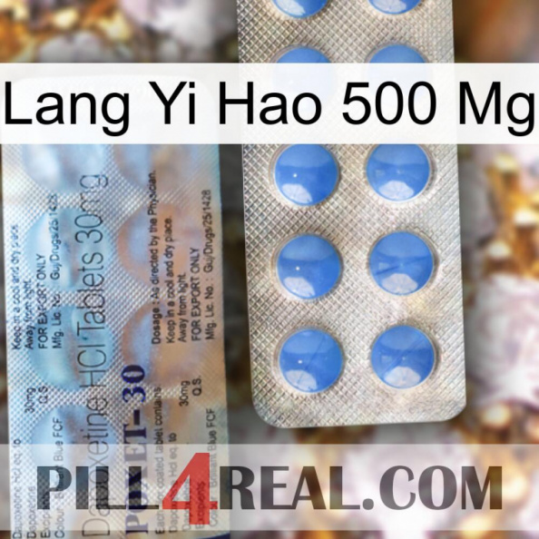 Lang Yi Hao 500 Mg 39.jpg